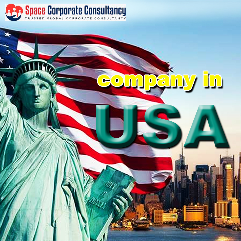 COMPANY FORMATION IN USA